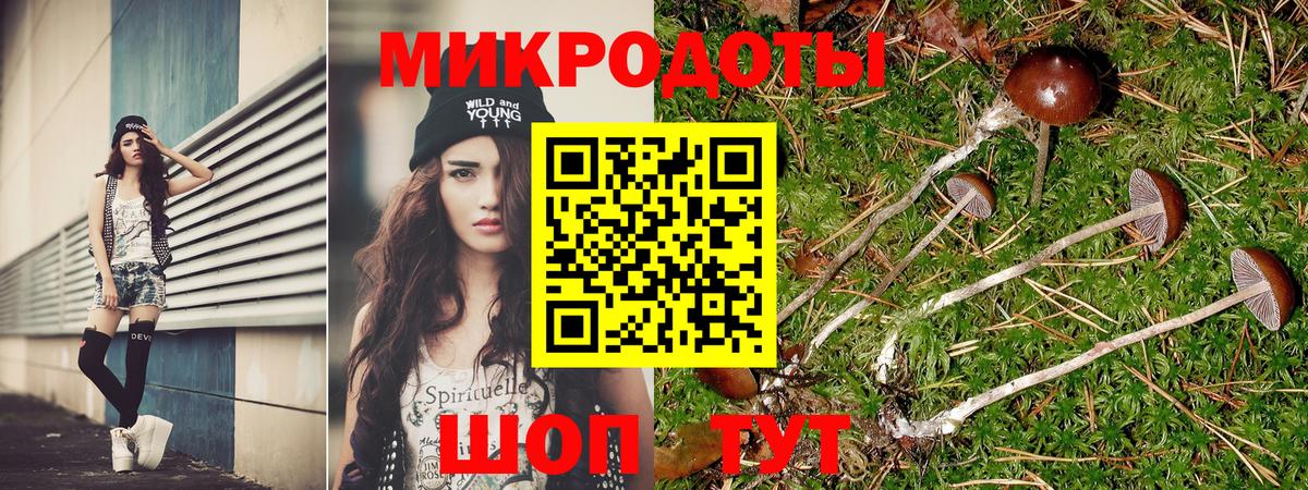 Оренбург  где найти   Вход с VPN  Галлюциногенные грибы Psilocybine cubensis 