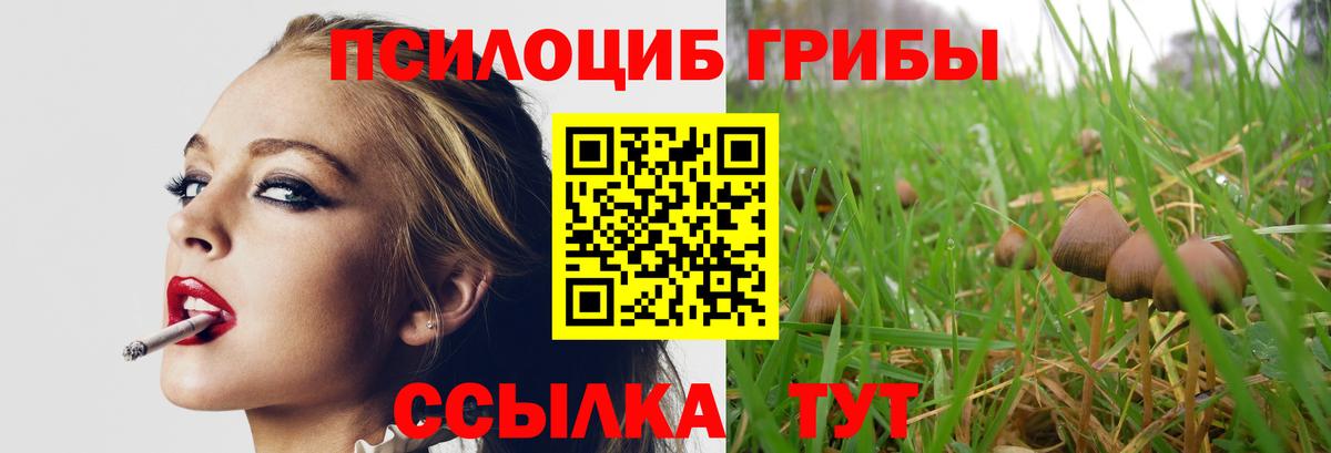 Галлюциногенные грибы MAGIC MUSHROOMS Оренбург